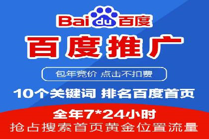 竞价推广代运营：成功案例解析
